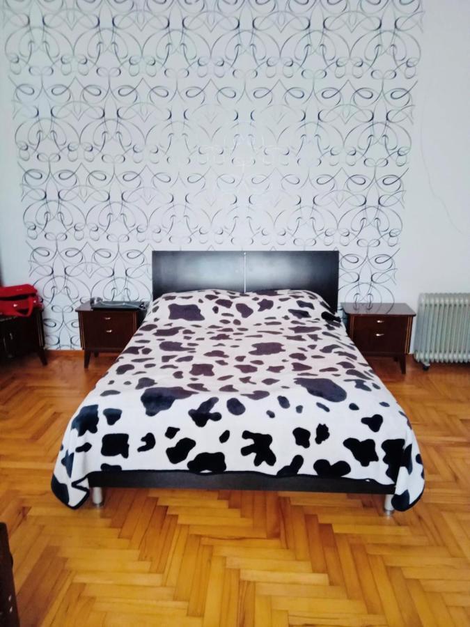 Hotel Mta Tsemi Esterno foto